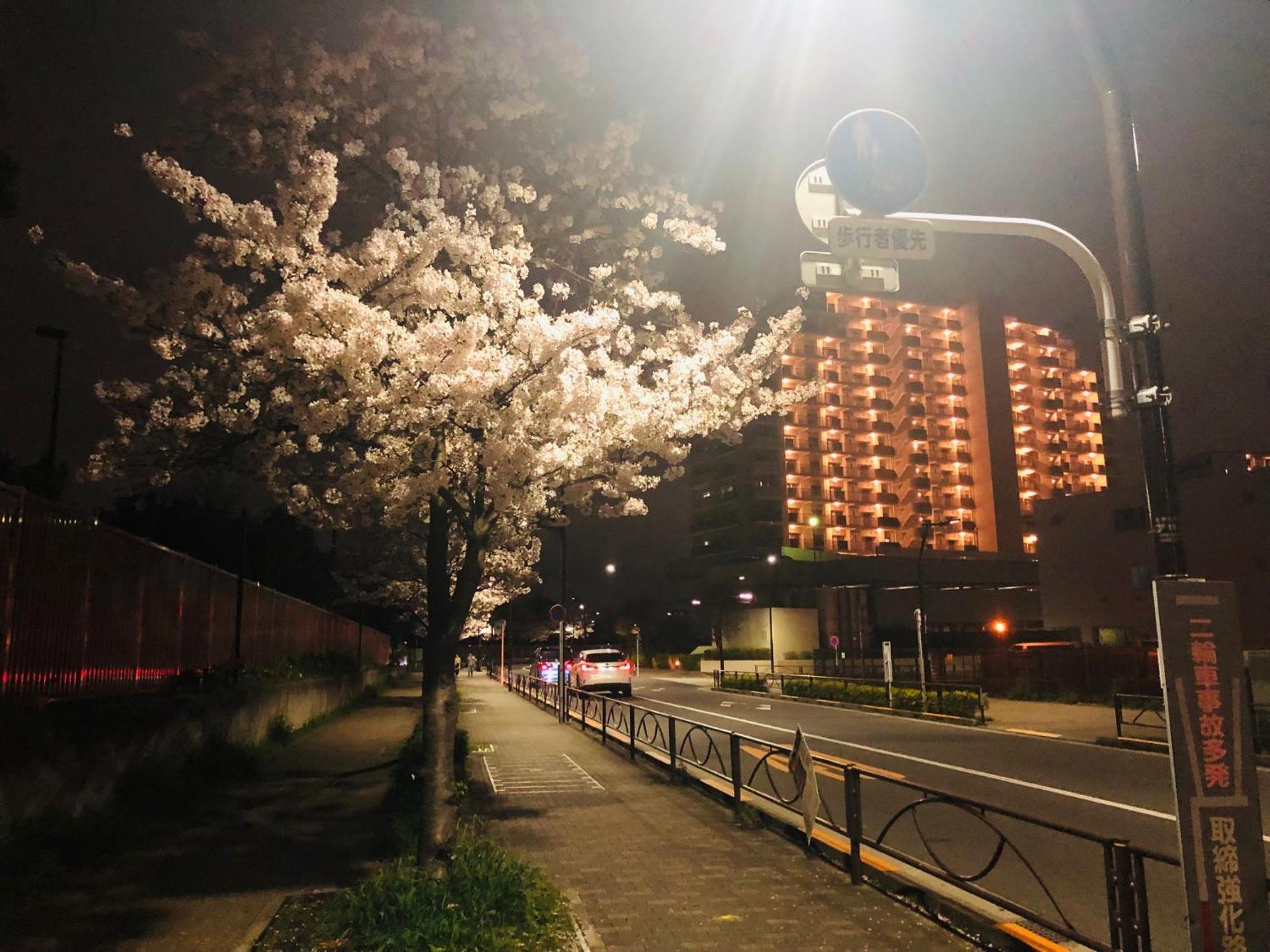 Jl 東京 House - 駐車場付き築浅のまるごと貸切住宅 Tokyo Exterior photo